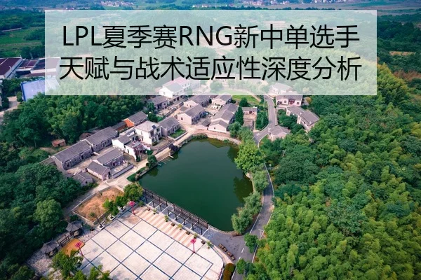 LPL夏季赛RNG新中单选手天赋与战术适应性深度分析